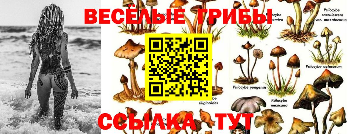 Псилоцибиновые грибы ЛСД  Вход с VPN  Балашов 