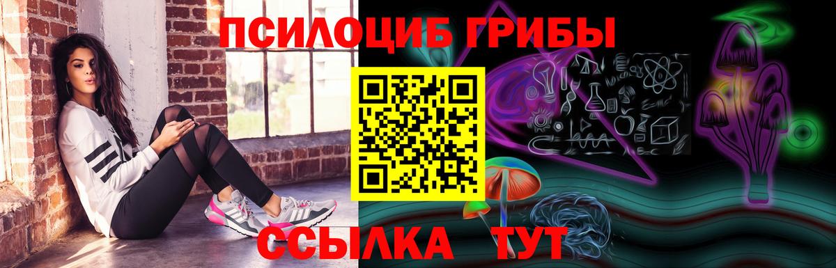 Псилоцибиновые грибы GOLDEN TEACHER Балашов